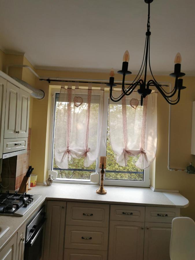 Chic Apartment Braila Bagian luar foto