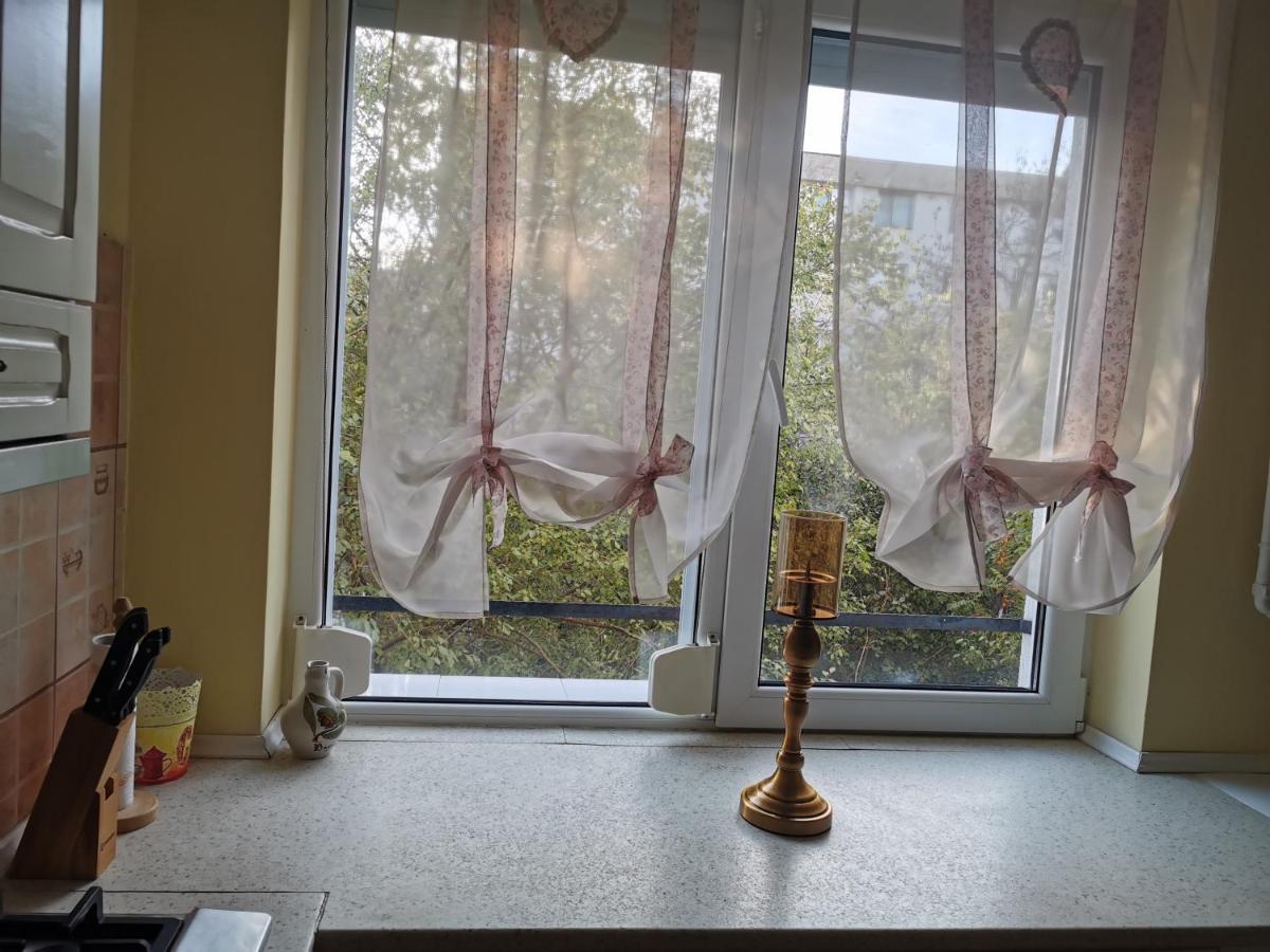 Chic Apartment Braila Bagian luar foto
