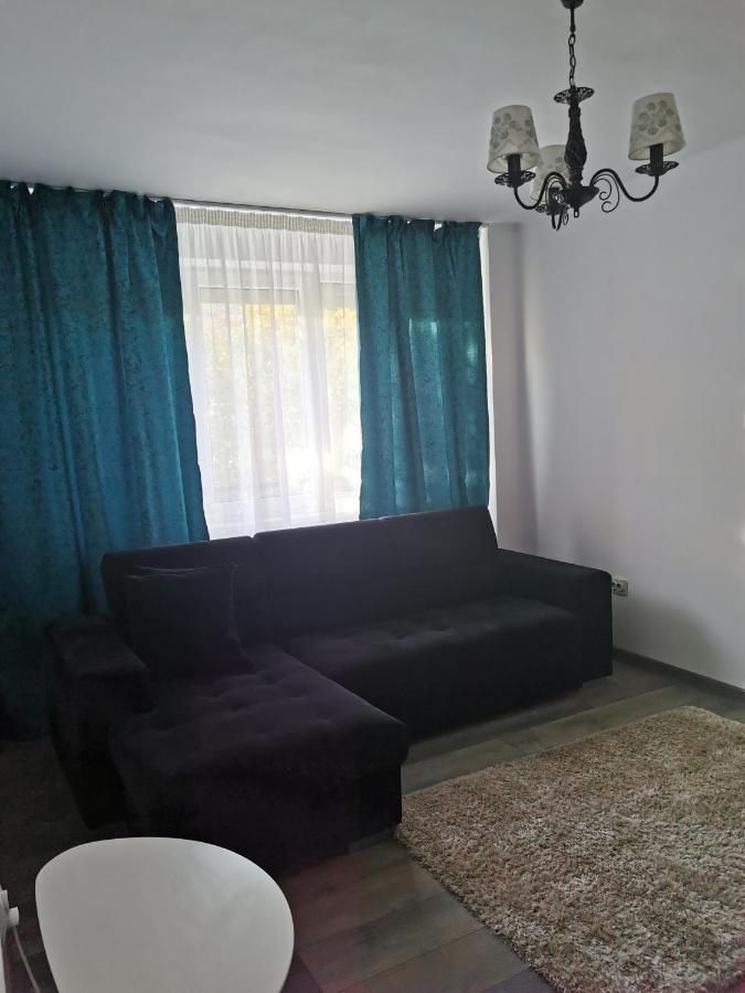 Chic Apartment Braila Bagian luar foto