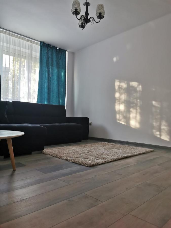 Chic Apartment Braila Bagian luar foto
